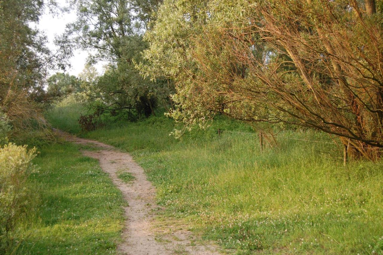 Вилла Pipowagen/Paardentram Dreumel Экстерьер фото